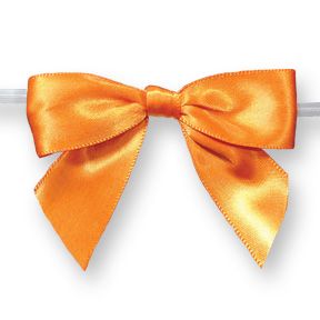 Large Bows // Orange with Twisty 6ct