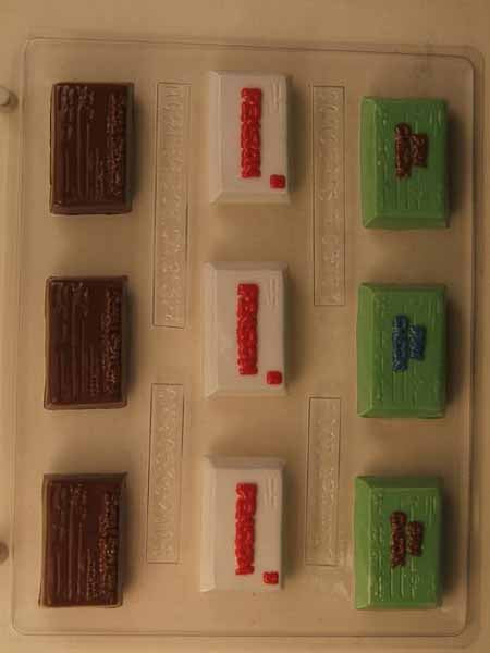 Chocolate// Candy Mold, Lollipop - Retirement, Rectangles with "Pay Check", "Pension" and "Social Security"